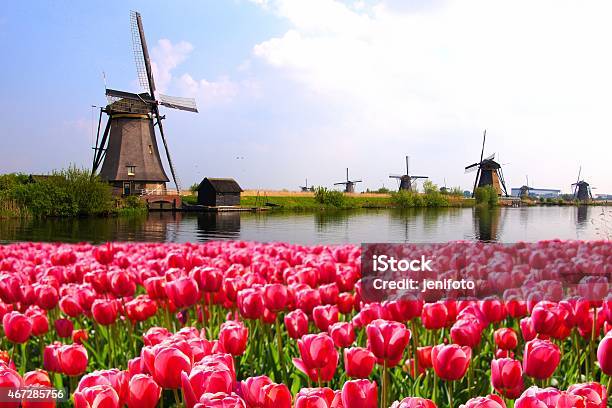 Photo libre de droit de Tulipes Avec Des Moulins À Vent De Hollande Et Canal banque d'images et plus d'images libres de droit de Pays-Bas