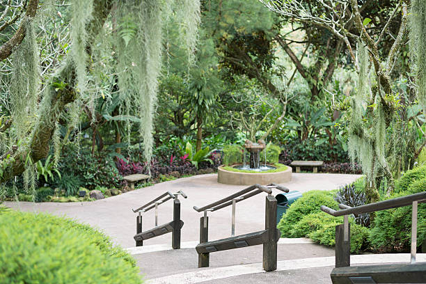 Singapore City, Singapore - National Orchid Garden. The image shows stairs in the Orchid Garden. These form part of Singapore's Botanic Gardens in the Tanglin area of the city. The orchid breeding program began in 1928.