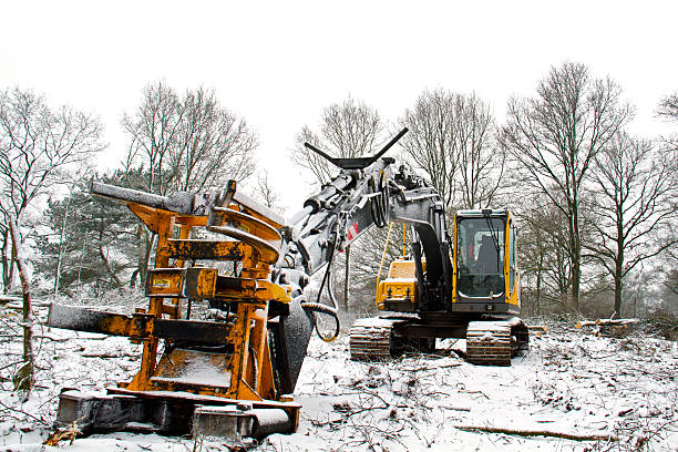 Wood harvester stock photo