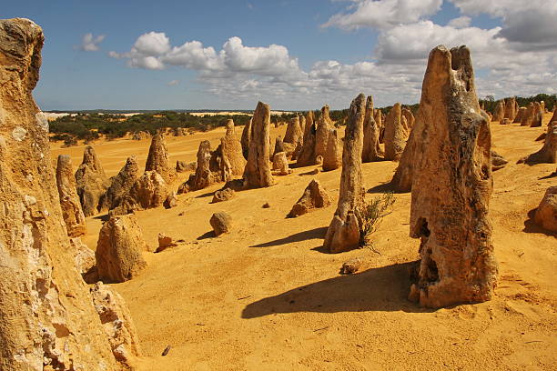 o deserto dos pináculos na austrália ocidental - nambung national park imagens e fotografias de stock