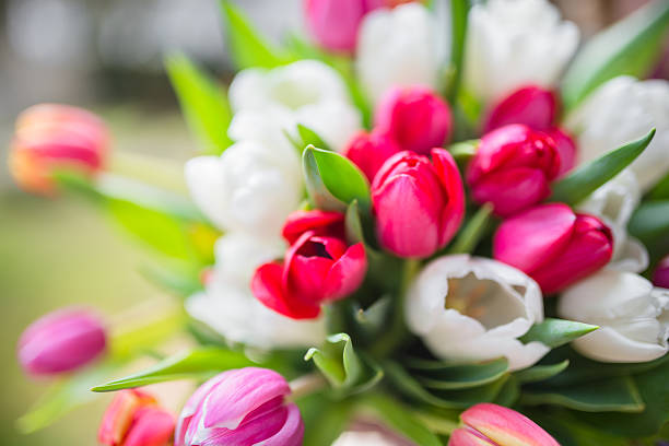 istock colorful tulips bouquet 467292902
