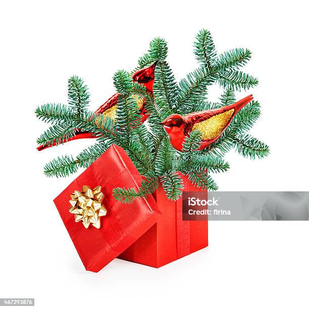 Christmas Present Stock Photo - Download Image Now - Bird, Christmas Ornament, Glass - Material