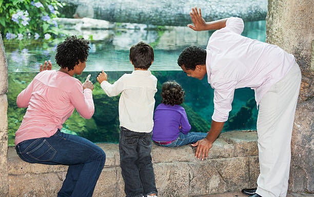 istock Family at the zoo 467294597