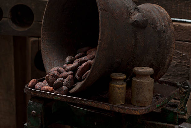 Fábrica de Cacao - foto de stock