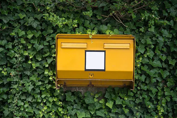 Typical German yellow letterbox on side of road overgrown with ivy and copy space on front. Concept could be used for environment friendly delivery or shipping