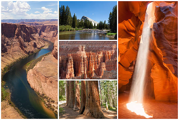 USA west coast national parks landscape collage