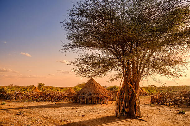 hamer villaggio vicino turmi, etiopia - travel ethiopia foto e immagini stock