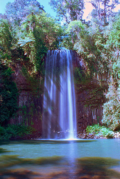 istock Millaa Millaa Waterfall In Queensland, Australia 467302552