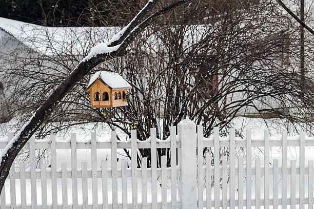 istock Starling-house in winter 467303506
