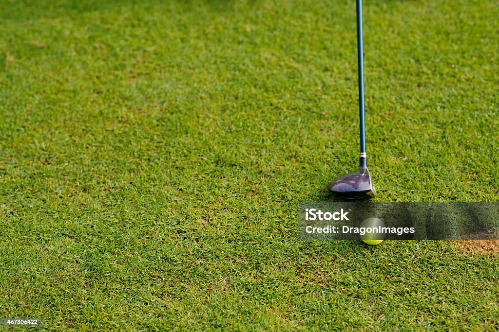 Golf club and ball Golf club and ball on the green grass 2015 Stock Photo