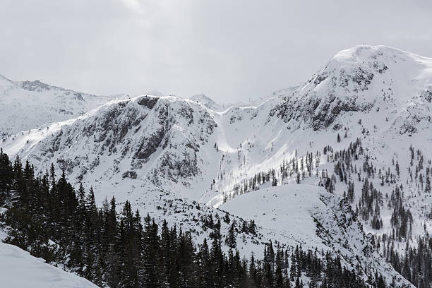 istock In the European Alps 467307160