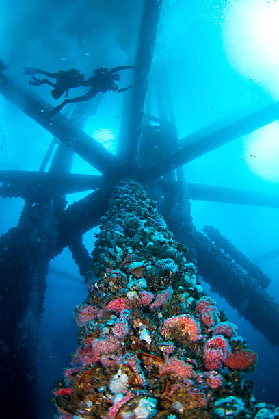 Oil Rigs Underwater with Scuba Divers