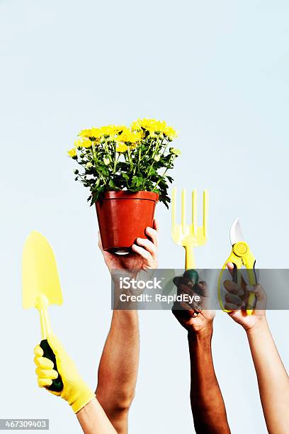 Wir Lieben Den Garten Hände Halten Sie Up Tools Und Potplant Stockfoto und mehr Bilder von Aktiver Lebensstil
