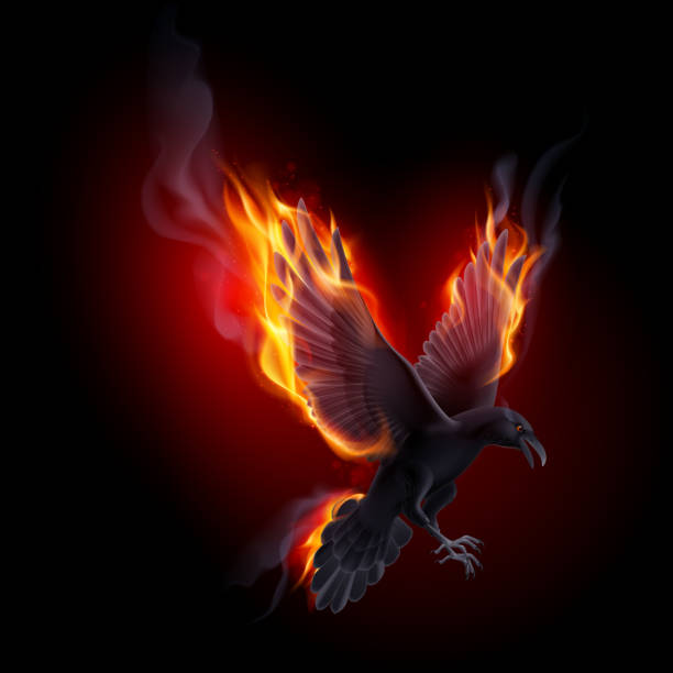 Ravenflame 590+ Fierce Crow Stock Photos, Pictures & Royalty-Free Images - iStock