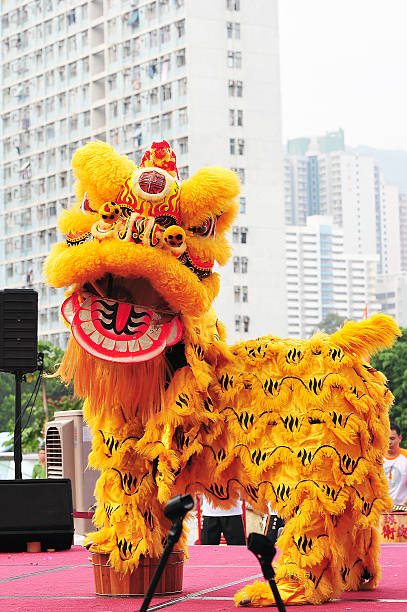 Lion dance stock photo