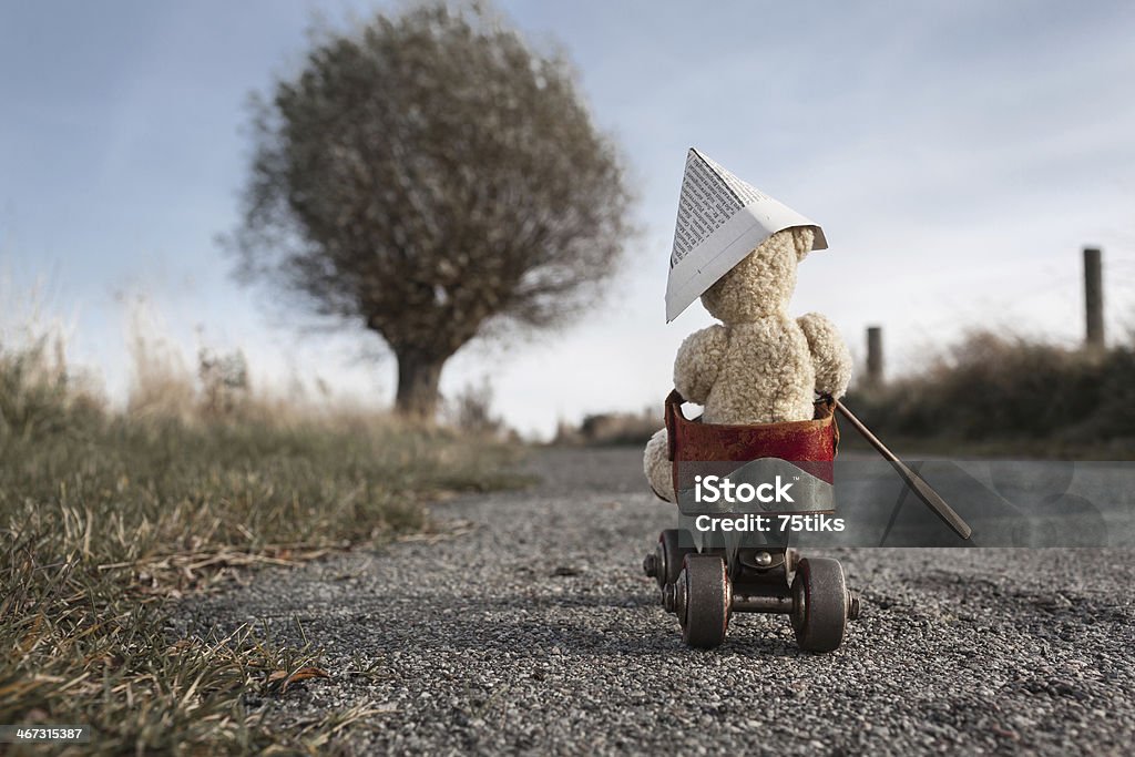 Travel Bear A teddy bear drives by a roller-skate vehicle on a small road at the countryside Rain Stock Photo