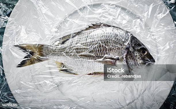 Fresh Fish On White Plate Stock Photo - Download Image Now - Fish, Polythene, Acid