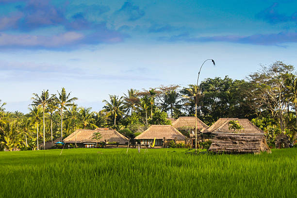 istock traditional balinese farmhouses 467316541