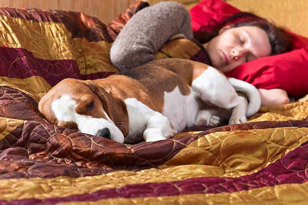 istock sleeping woman and its dog 467318652