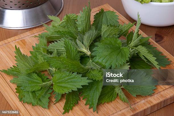 Fresh Nettle Stock Photo - Download Image Now - Freshness, Green Color, Herb