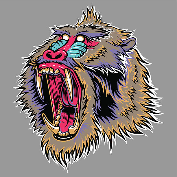mandrill Stylized head of agressive monkey. Illustration for your design baboon stock illustrations