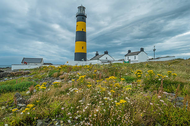 Coastal Lighthouse – zdjęcie