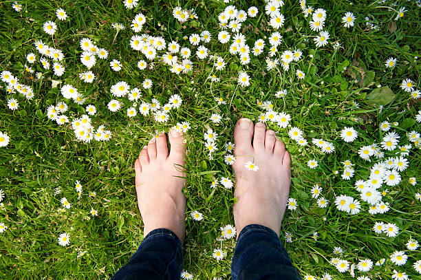 여성 피트 입석 녹색 잔디, 흰색 꽃 - spring happiness women handcarves 뉴스 사진 이미지