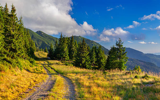 istock Beautiful summer landscape in the mountains 467326895