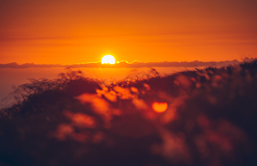 A blazing orange sun casting light across a wild grass mountain meadow sloping down toward the sea. The sun is partially shrouded by a band of clouds. The image offers a shallow depth of field and gets gradually darker and out of focus toward the bottom, allowing room for copy.