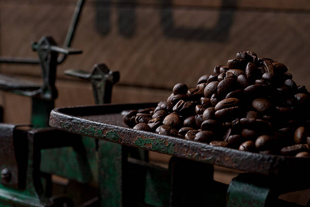 Grano de café - foto de stock