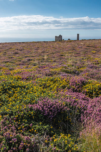 istock Coastline of Cornwall, England 467328364