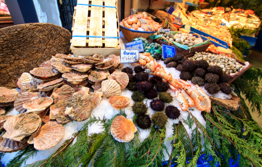 Sea food market stall in Paris - sea urchins and scallops exposed on ice and weeds