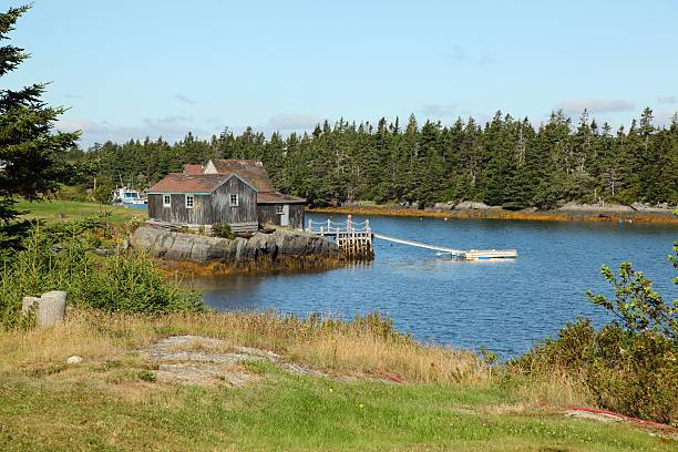 istock Scenic view at Stonehurst, Nova Scotia, Canada 467328744
