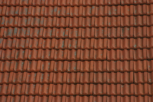 A typical tile roof in the town of Siena in Tuscany Italy