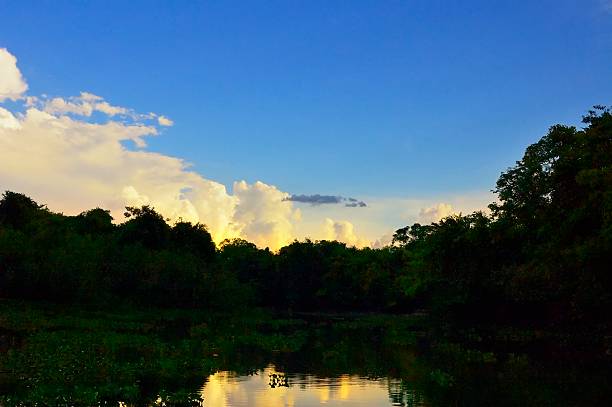 istock Rio Sarare Lagoon At Dusk 467336316