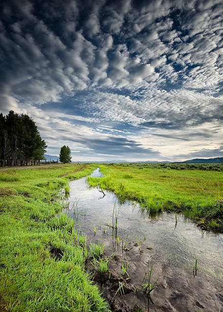 Disappearing mountain stream on Mormon Row in the Wyoming  Tetons