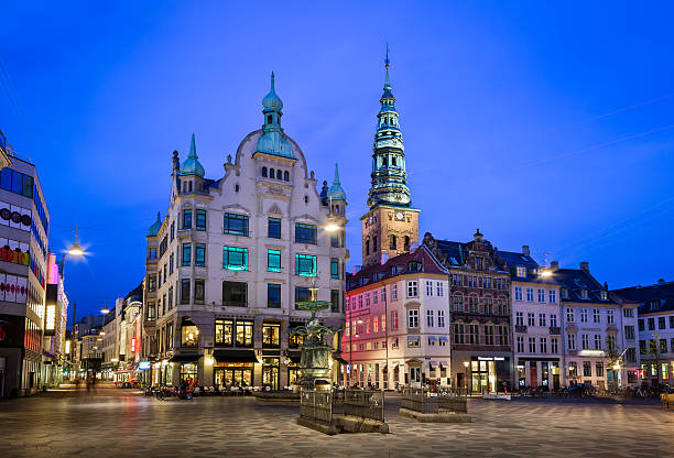 amagertorv cicogna e fontana in piazza della città vecchia - denmark danish culture copenhagen sculpture foto e immagini stock