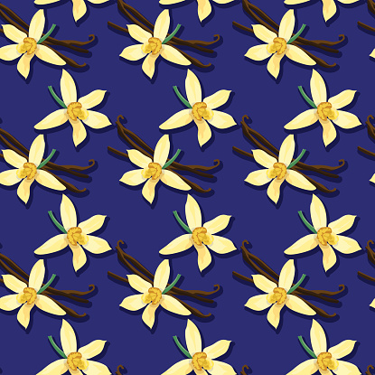 Vector illustration of seamless pattern with bourbon vanilla beans (pods) and vanilla flowers on a dark violet, purple background in a pop art style.
