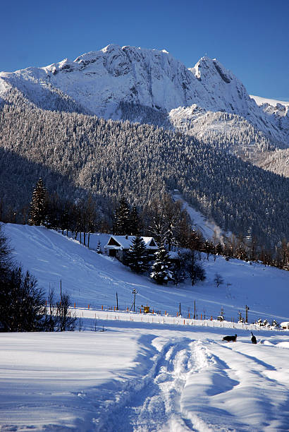 istock High mountain landscape with sun 467339803