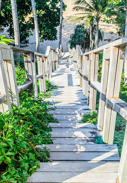 istock Timber bridge to the beach 467342254