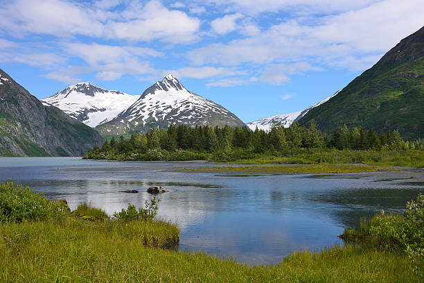 vue de l'été de lac portage glacier et en alaska - portage lake photos et images de collection
