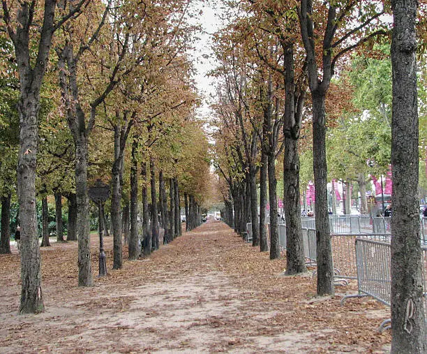 A park area that parallels the Champs-Elysee in Paris, France during the autumn season