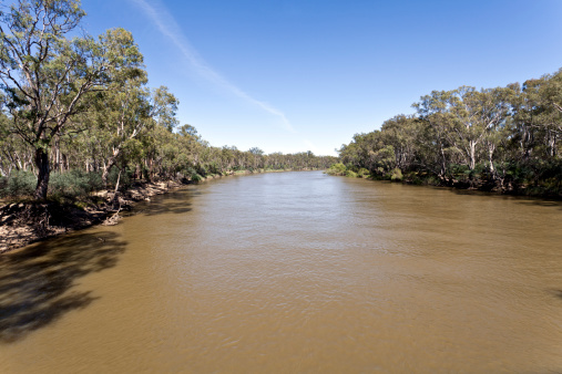 The Murray River at Tocumwal, New South Wales, Australia