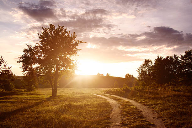 istock Field and dirt road to sunset 467349992