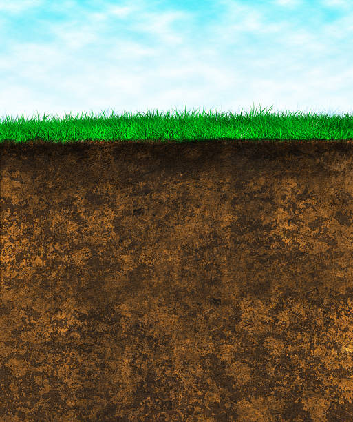 zielona trawa w glebie wzór powierzchni - below the surface zdjęcia i obrazy z banku zdjęć
