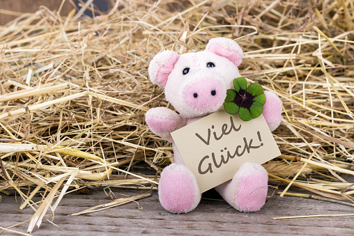 Lucky pig with cloverleaf and card with german text good luck