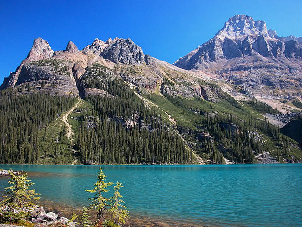 istock Lake O'Hara, Yoho National Park, British Columbia, Canada 467361011