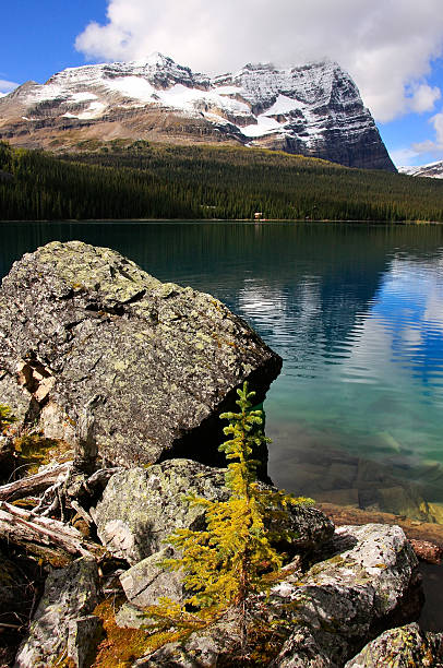 istock Lake O'Hara, Yoho National Park, British Columbia, Canada 467362249