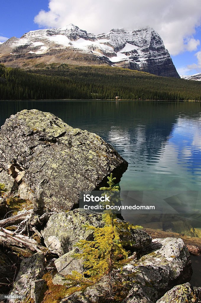 Lake O'Hara, Yoho National Park, British Columbia, Canada Autumn Stock Photo