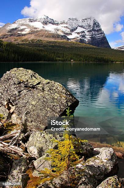 Lake Ohara Yoho National Park British Columbia Canada Stock Photo - Download Image Now